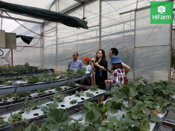 Nông nghiệp công nghệ cao Đà Lạt - Đòn bẩy phát triển kinh tế bền vững