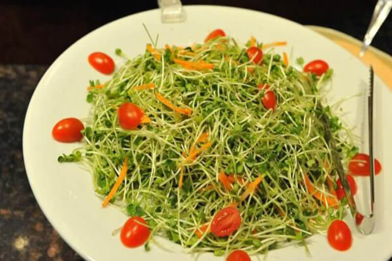 Salad rau mầm cà chua - Món ngon cho làn da, vóc dáng hoàn hảo