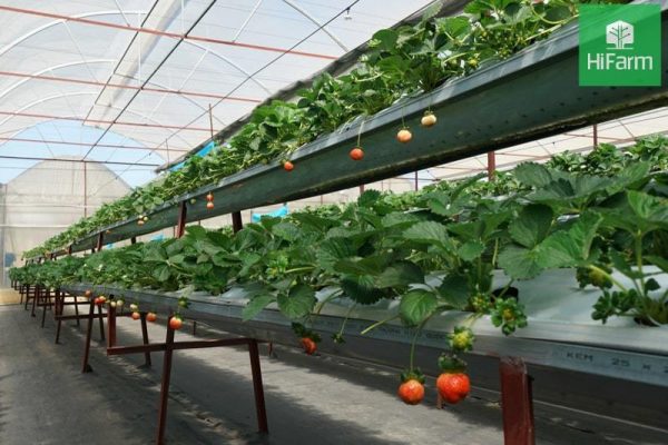 Methods to control the environment in the greenhouse
