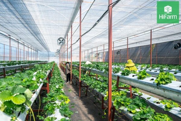 Methods to control the environment in the greenhouse